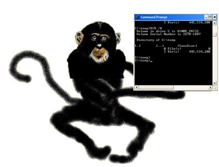 monkey